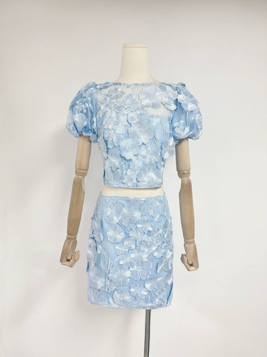 SET67Y Elegant 3D Flower Embroidered Top and Hip Skirt Set
