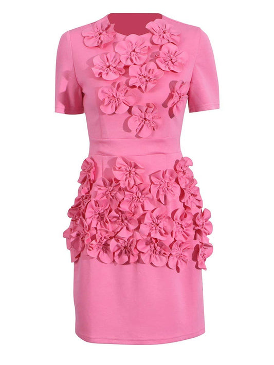 24Y Elegant Pink Floral Embellished Round Neck Waist Dress